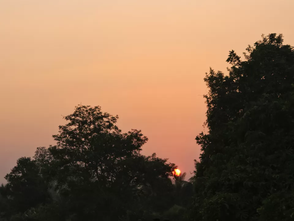 Photo of Kudal Malvan Road, Kavilgaon, Maharashtra, India by Rakshanda Kadam