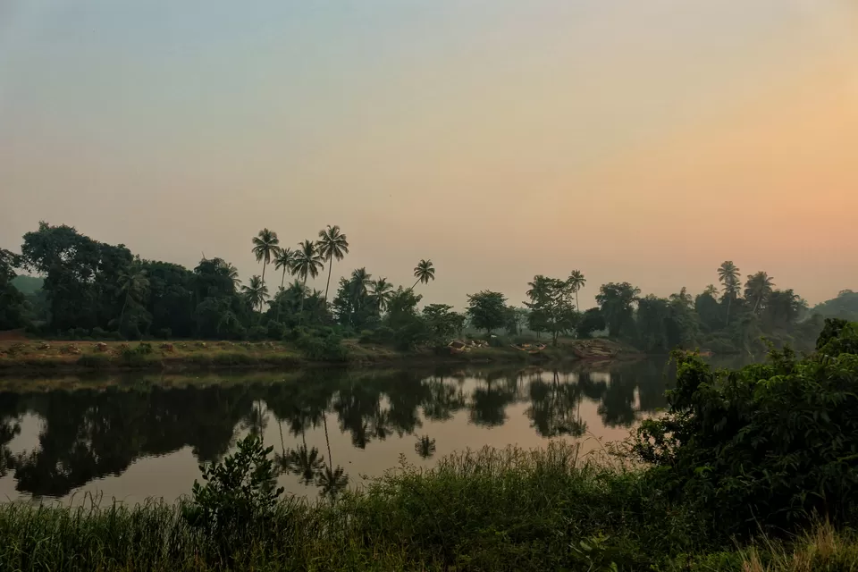 Photo of Kudal Malvan Road, Kavilgaon, Maharashtra, India by Rakshanda Kadam