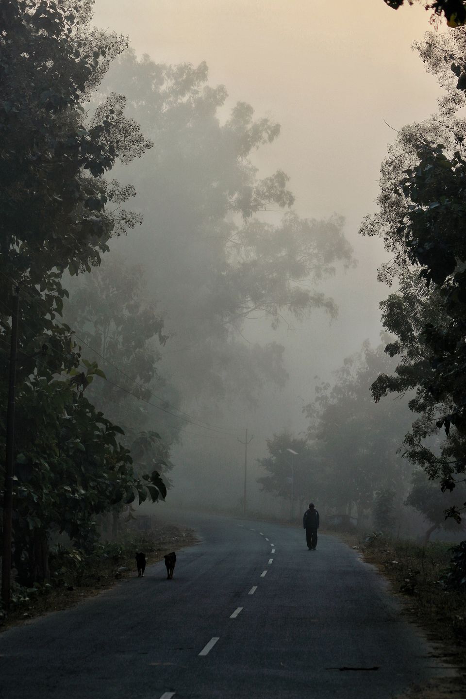 Photo of Ramnagar, Uttarakhand, India by Rakshanda Kadam