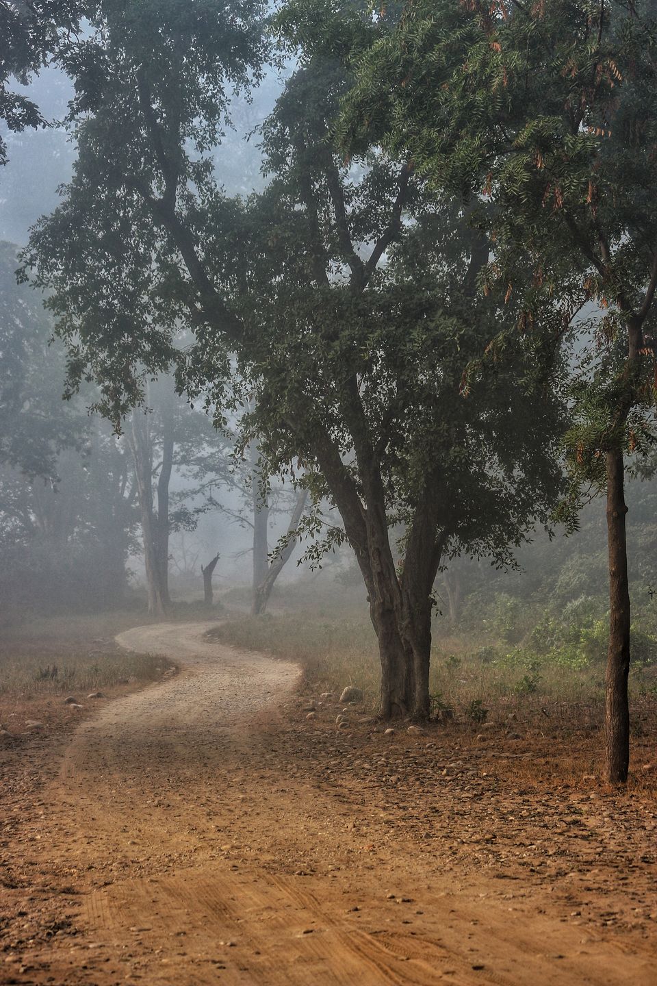 Photo of Ramnagar, Uttarakhand, India by Rakshanda Kadam