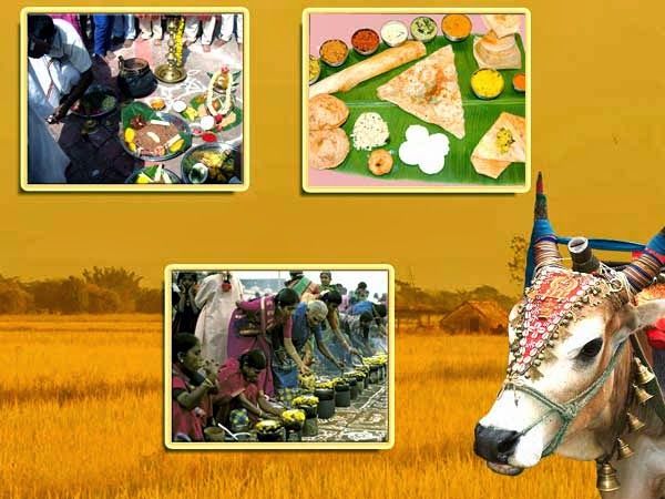 Photo of Get Bedazzled at Theni this Pongal 1/2 by Arvind Balaji Kakade