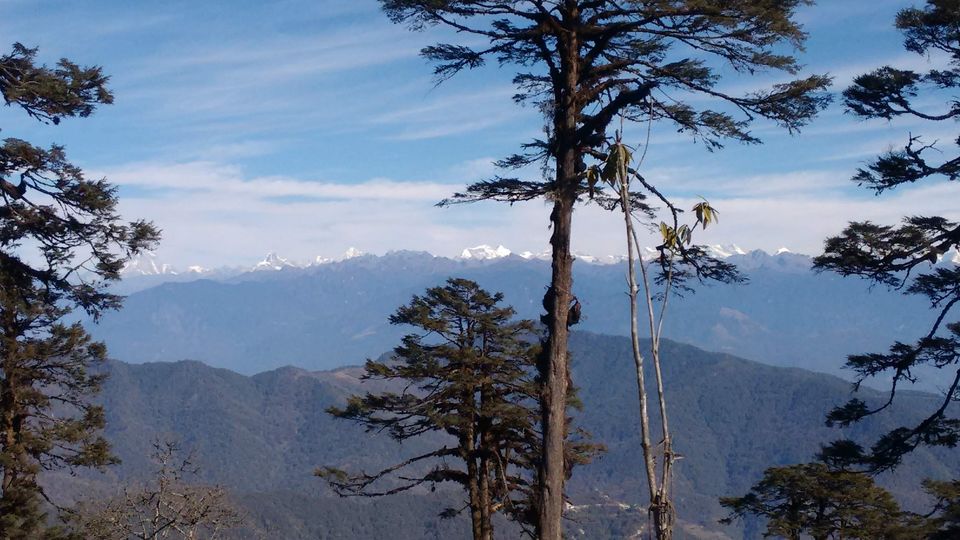 Photo of Visiting the cold country of Bhutan for 7days by Poulami Das