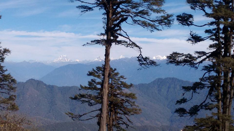 Photo of Visiting the cold country of Bhutan for 7days by Poulami Das