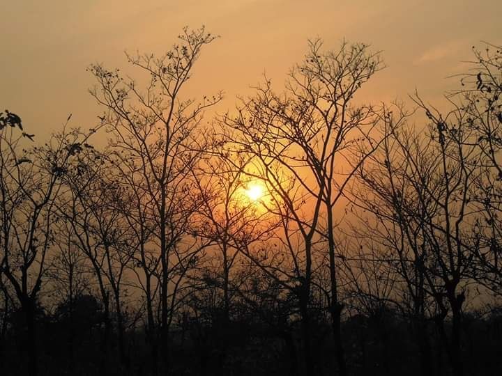 Photo of Family Trip to Jhargram by Poulami Das