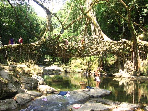 Photo of Mawlynnong, Meghalaya, India by Chetna Khetawat (The Vagabond Dreamer)