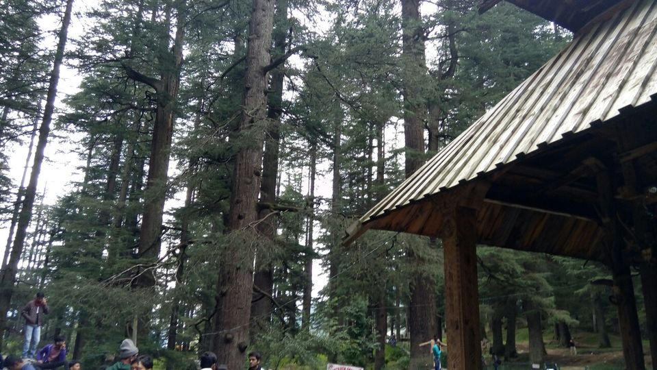 Photo of A drive to Heaven: Kinnaur, Spiti and Kasol-Himachal!! 3/62 by Chetna Khetawat (The Vagabond Dreamer)
