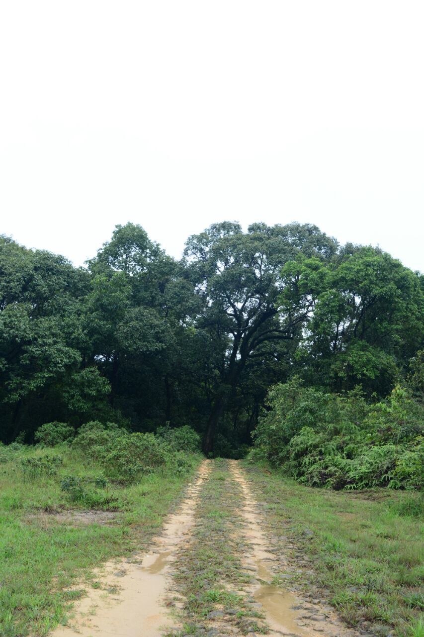 Photo of Meghalaya: A date with your own soul! 16/43 by Chetna Khetawat (The Vagabond Dreamer)