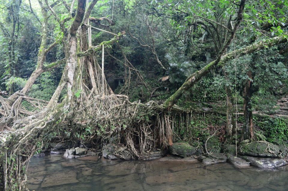 Photo of Meghalaya: A date with your own soul! 19/43 by Chetna Khetawat (The Vagabond Dreamer)
