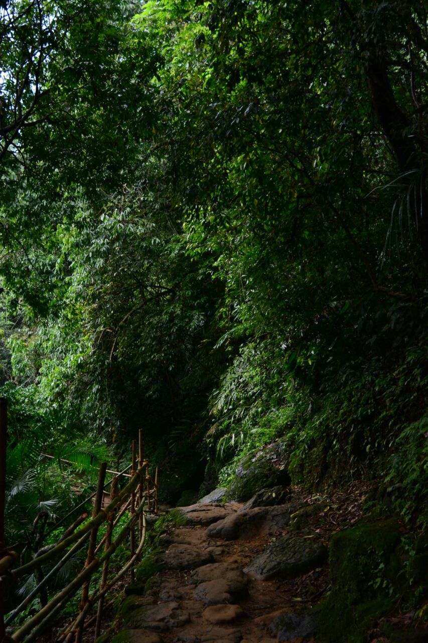 Photo of Meghalaya: A date with your own soul! 20/43 by Chetna Khetawat (The Vagabond Dreamer)