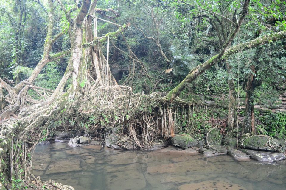 Photo of Meghalaya: A date with your own soul! 28/43 by Chetna Khetawat (The Vagabond Dreamer)