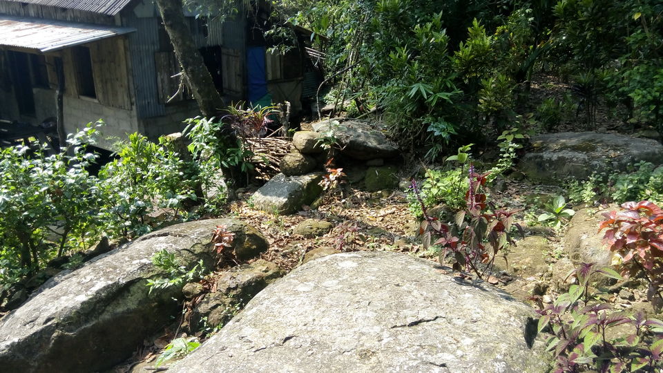 Photo of Meghalaya: A date with your own soul! 30/43 by Chetna Khetawat (The Vagabond Dreamer)