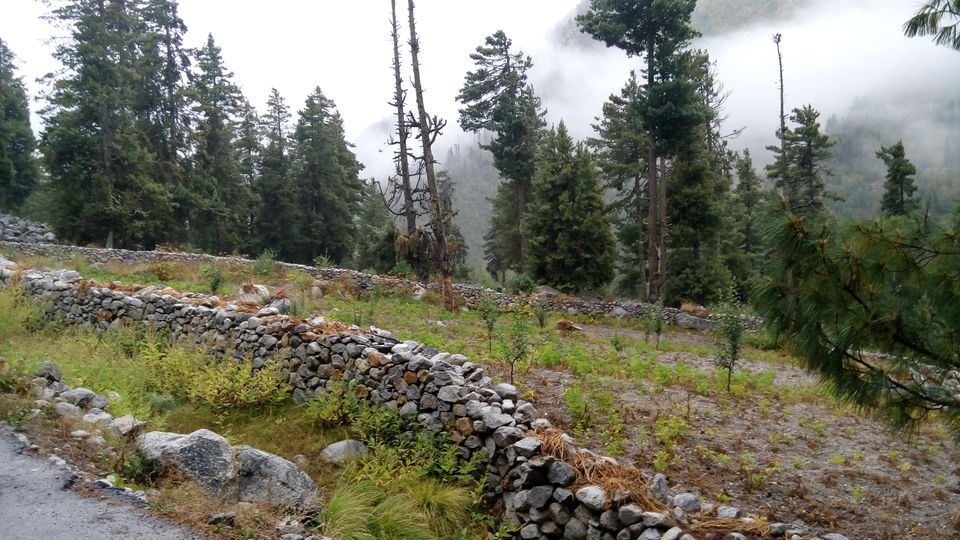 Photo of A drive to Heaven: Kinnaur, Spiti and Kasol-Himachal!! 42/62 by Chetna Khetawat (The Vagabond Dreamer)