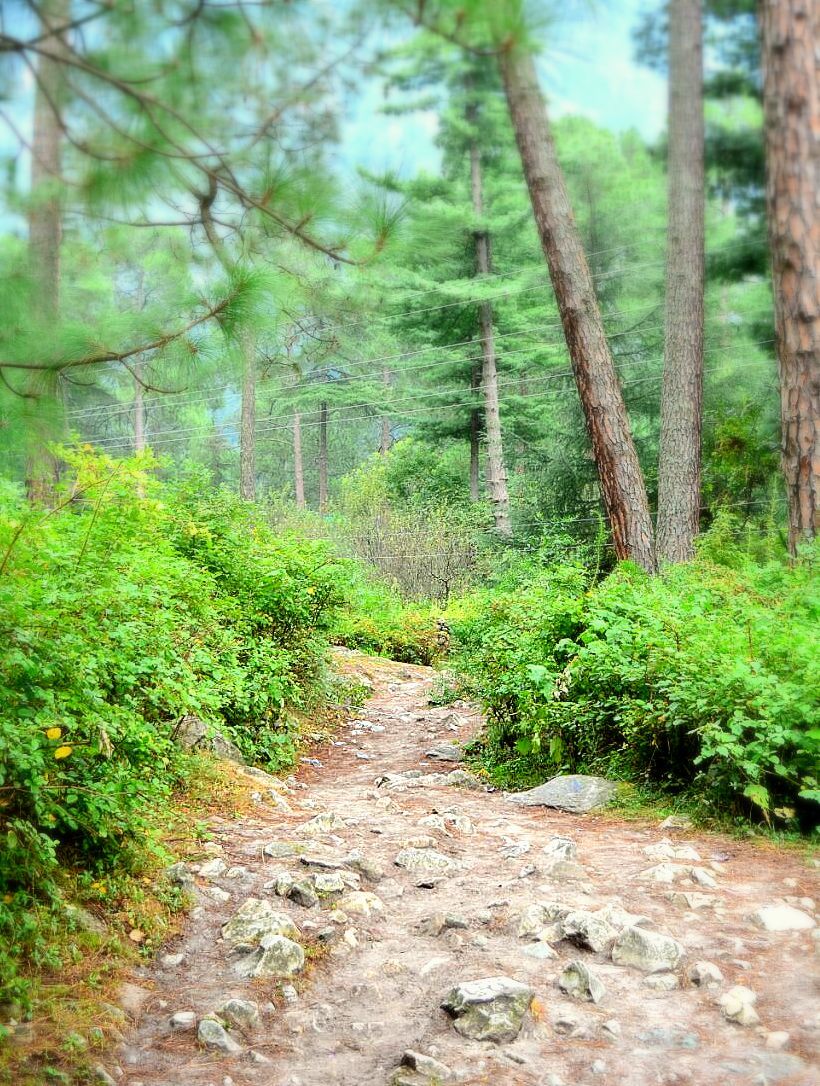 Photo of Tripping in the magic of Parvati Valley! by Chetna Khetawat (The Vagabond Dreamer)