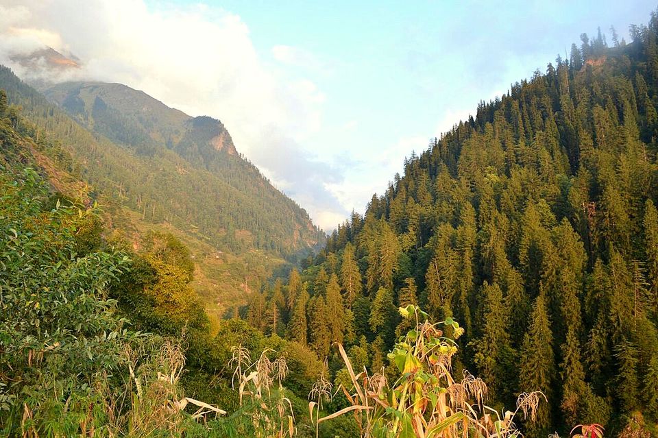 Photo of Tripping in the magic of Parvati Valley! by Chetna Khetawat (The Vagabond Dreamer)