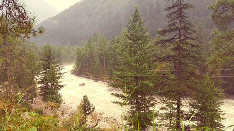 Photo of Tripping in the magic of Parvati Valley! by Chetna Khetawat (The Vagabond Dreamer)