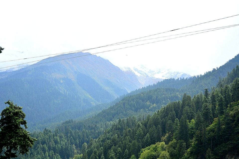 Photo of Tripping in the magic of Parvati Valley! by Chetna Khetawat (The Vagabond Dreamer)