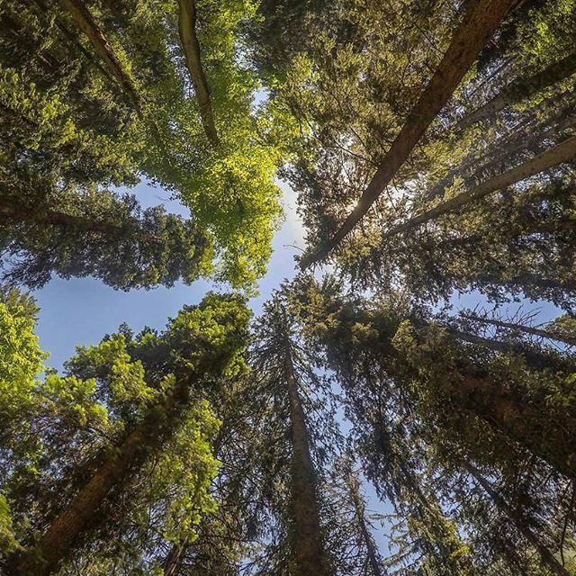 Photo of Tripping in the magic of Parvati Valley! by Chetna Khetawat (The Vagabond Dreamer)