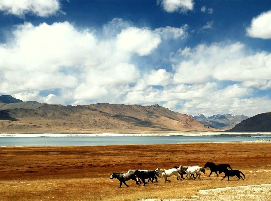 Photo of Ladakh- Where the mountains coloured me Blue!! 3/20 by Chetna Khetawat (The Vagabond Dreamer)
