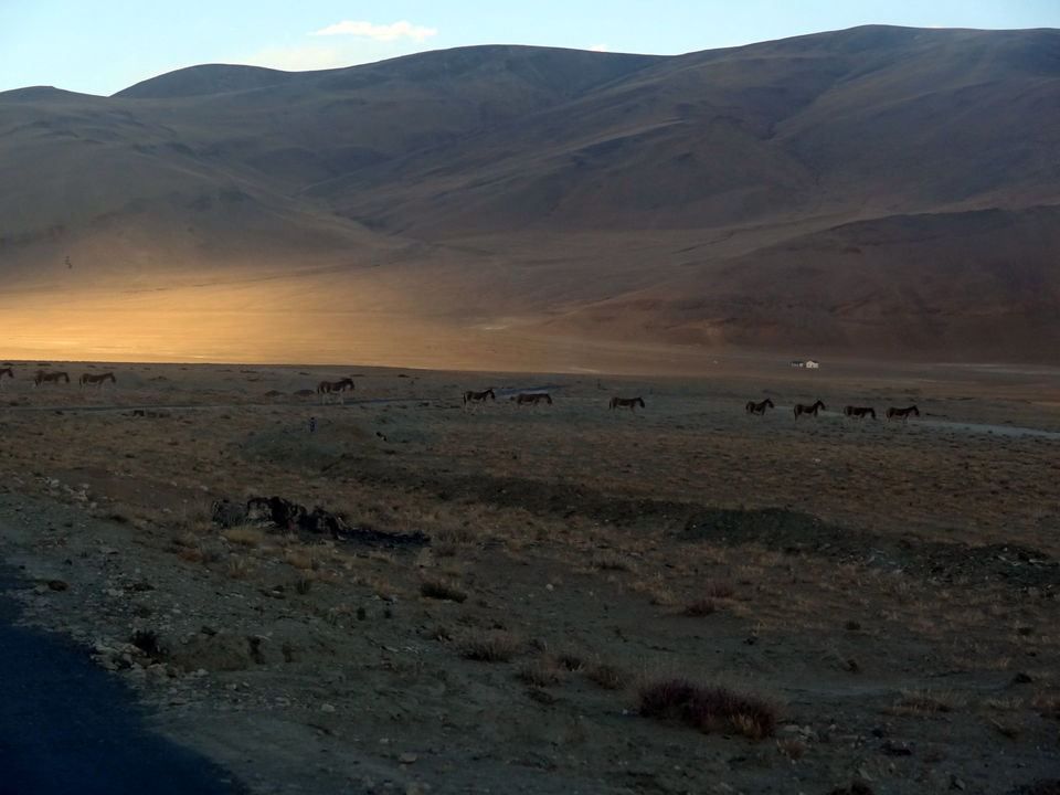 Photo of Ladakh- Where the mountains coloured me Blue!! 8/20 by Chetna Khetawat (The Vagabond Dreamer)