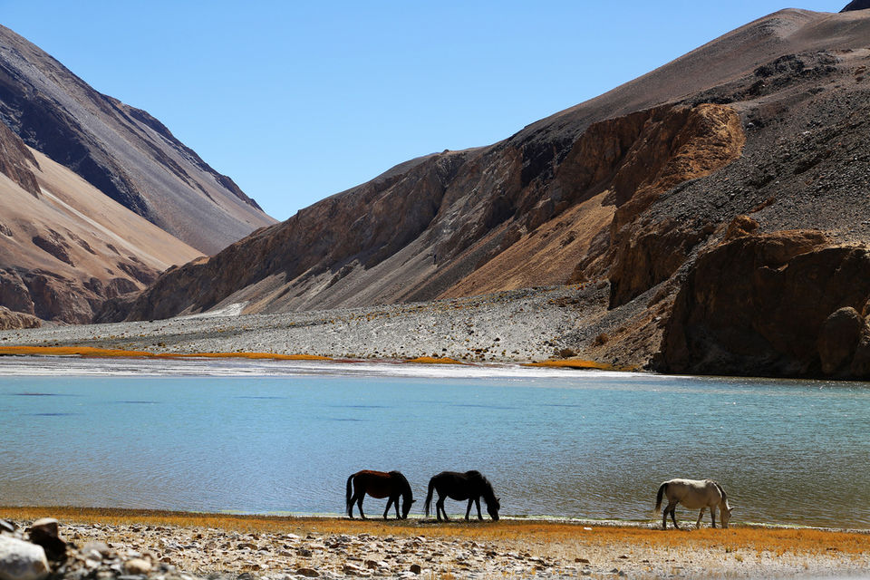 Photo of Chagar Tso by Chetna Khetawat (The Vagabond Dreamer)