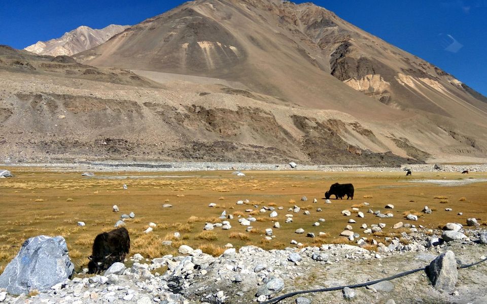 Photo of Ladakh- Where the mountains coloured me Blue!! 20/20 by Chetna Khetawat (The Vagabond Dreamer)