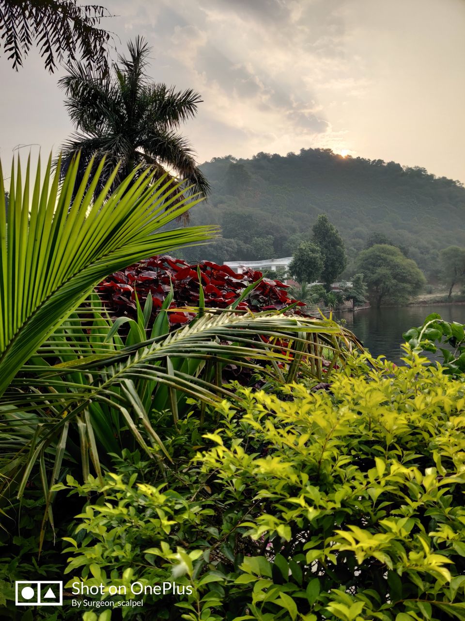 Photo of Zone By The Park, Jodhpur, Sector-H, Shastri Nagar, Jodhpur, Rajasthan, India by Cherring Tandup