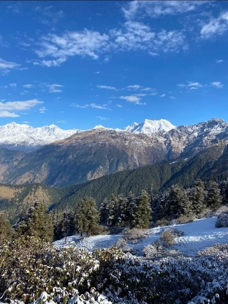 Photo of Chopta by Aditya Rathi
