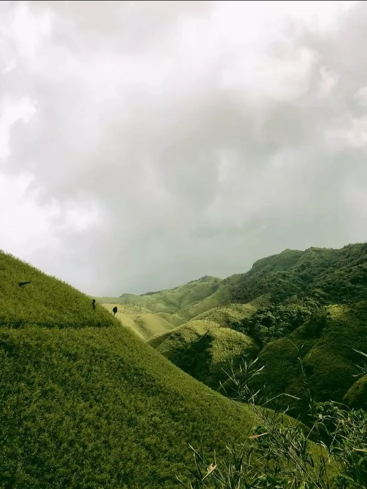 Photo of Dzükou Valley by Aditya Rathi