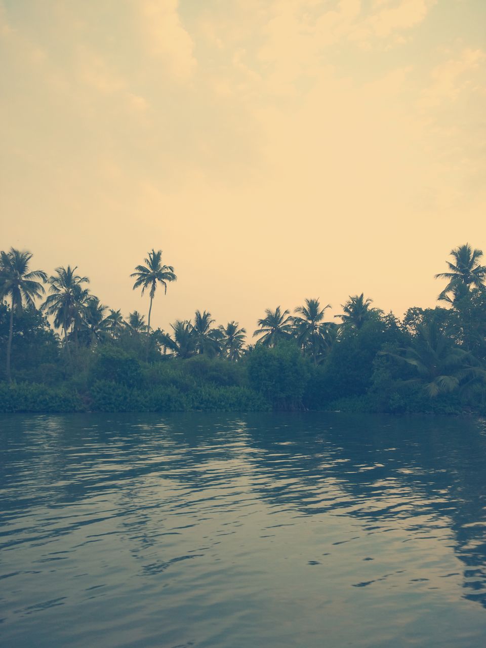 Photo of Solo trip to coral paradise - Lakshadweep by Upasana Jaiswal