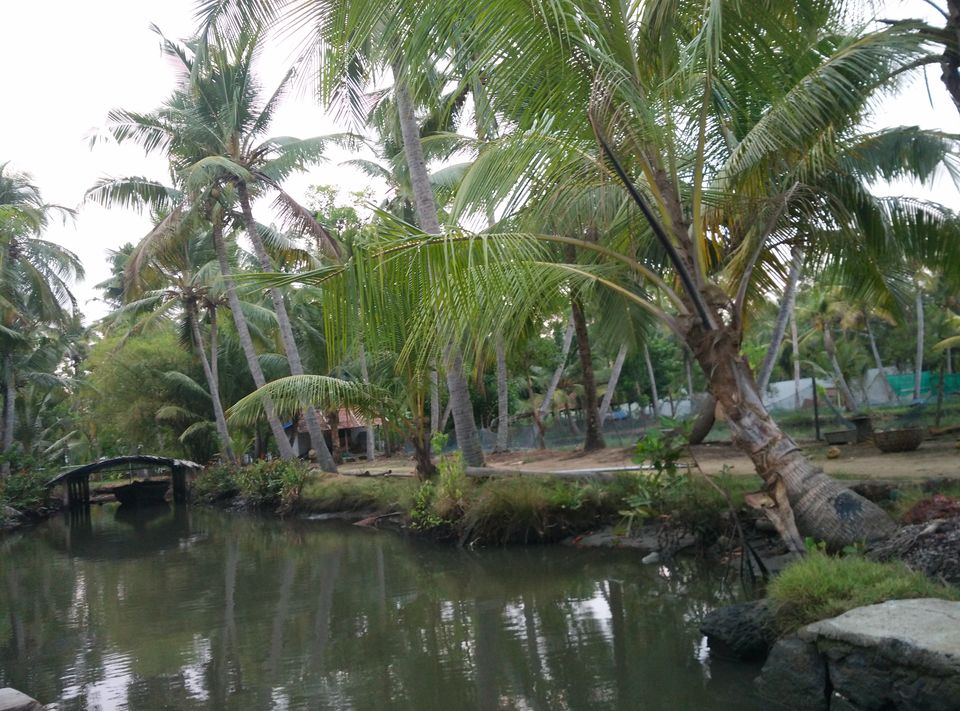 Photo of Solo trip to coral paradise - Lakshadweep by Upasana Jaiswal
