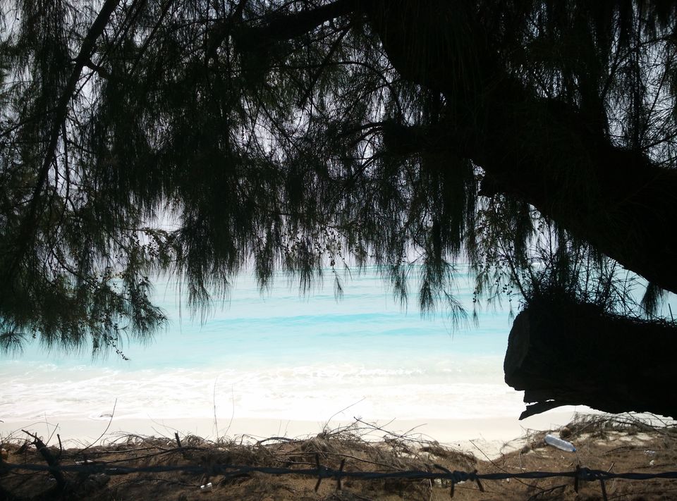 Photo of Solo trip to coral paradise - Lakshadweep by Upasana Jaiswal