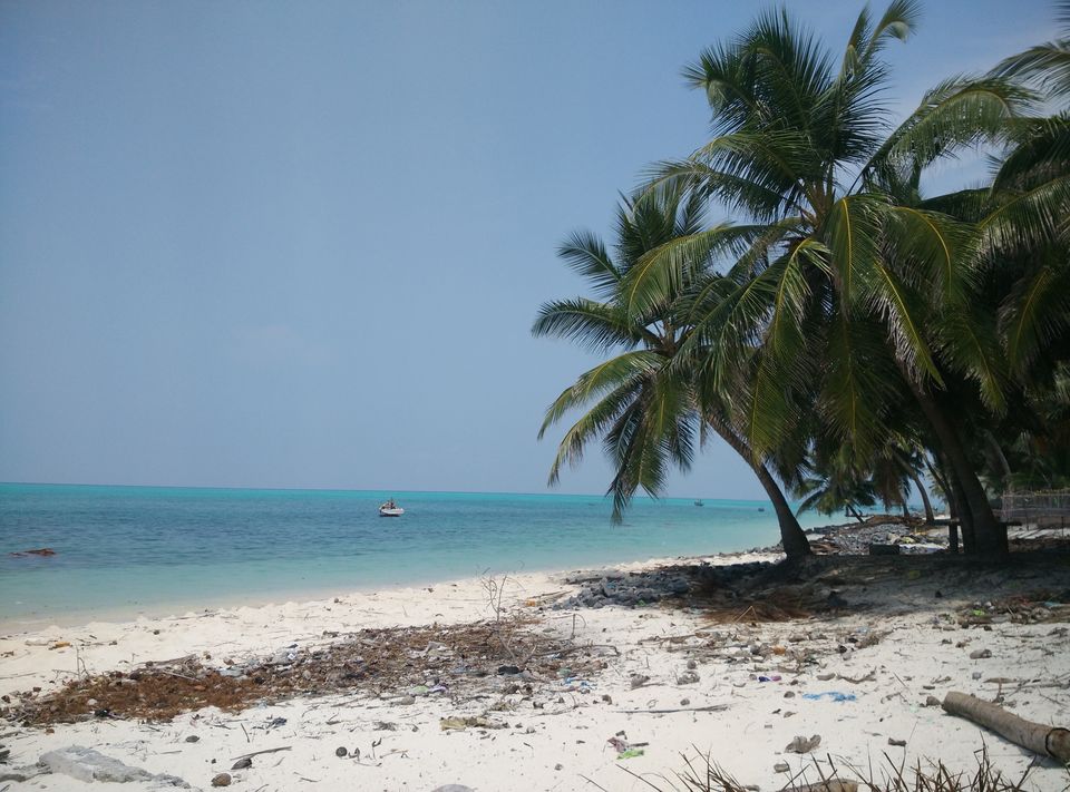 Photo of Solo trip to coral paradise - Lakshadweep by Upasana Jaiswal