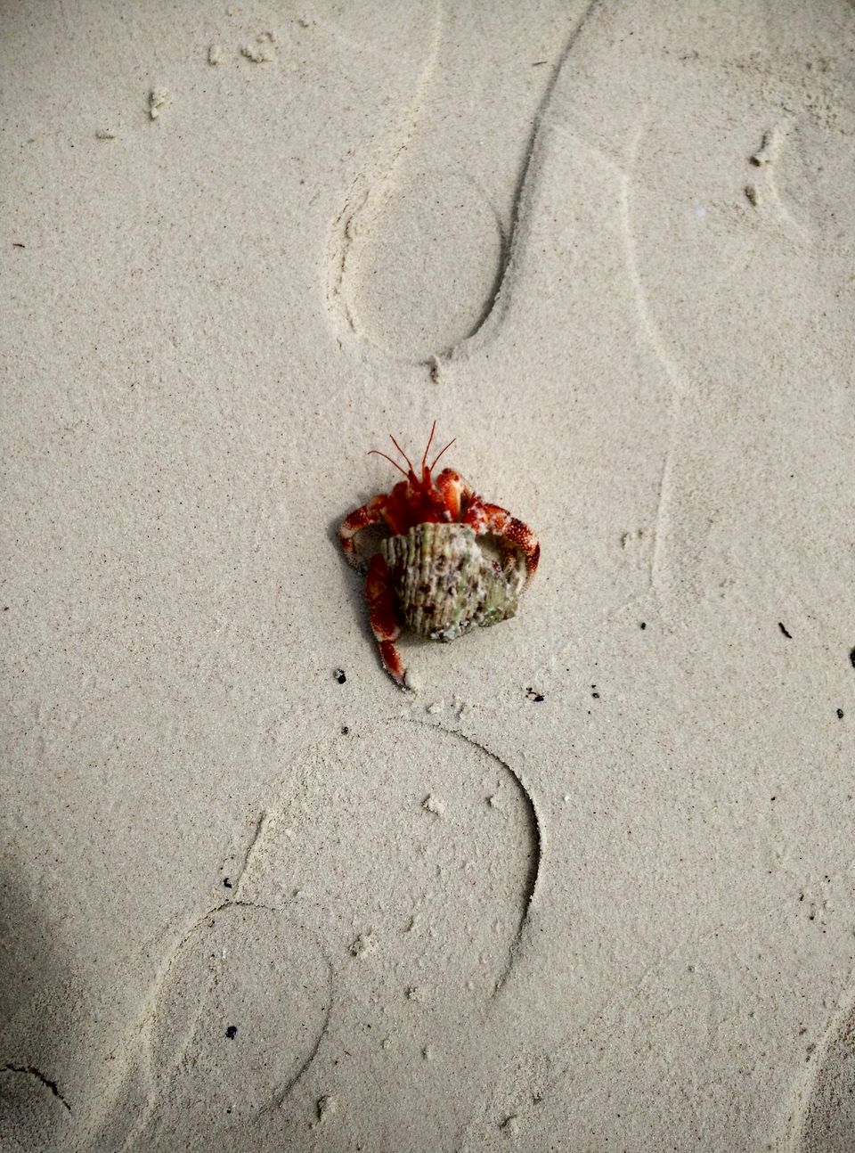 Photo of Solo trip to coral paradise - Lakshadweep by Upasana Jaiswal