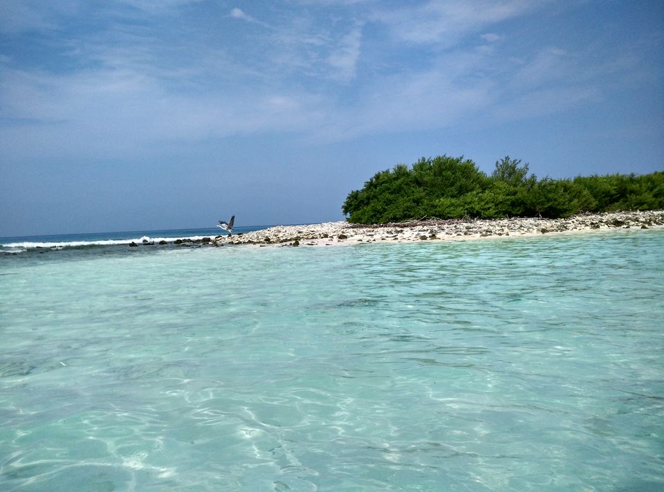 Photo of Solo trip to coral paradise - Lakshadweep by Upasana Jaiswal