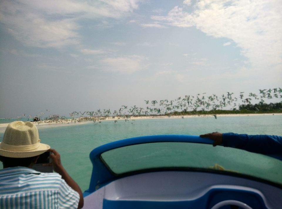 Photo of Solo trip to coral paradise - Lakshadweep by Upasana Jaiswal
