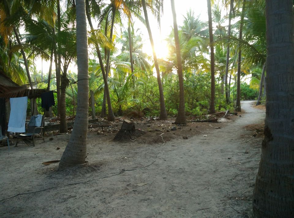 Photo of Solo trip to coral paradise - Lakshadweep by Upasana Jaiswal