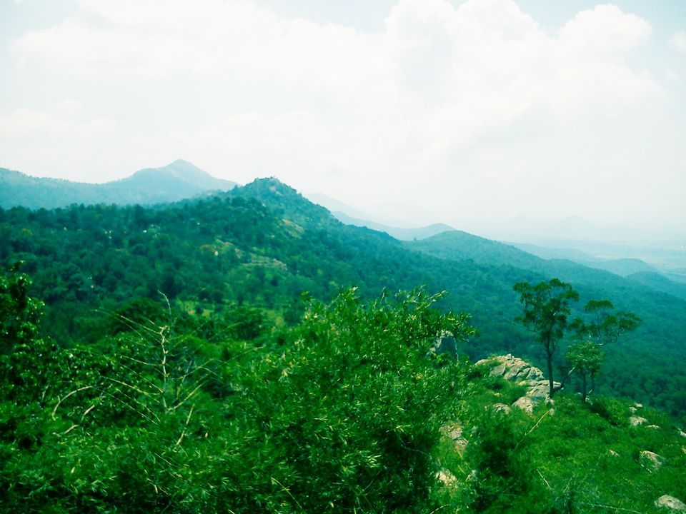 Photo of A short love affair with the road : B R Hills 3/5 by Shwetha