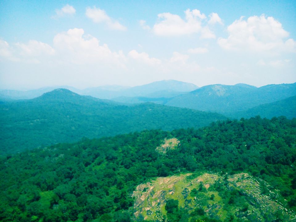 Photo of A short love affair with the road : B R Hills 4/5 by Shwetha