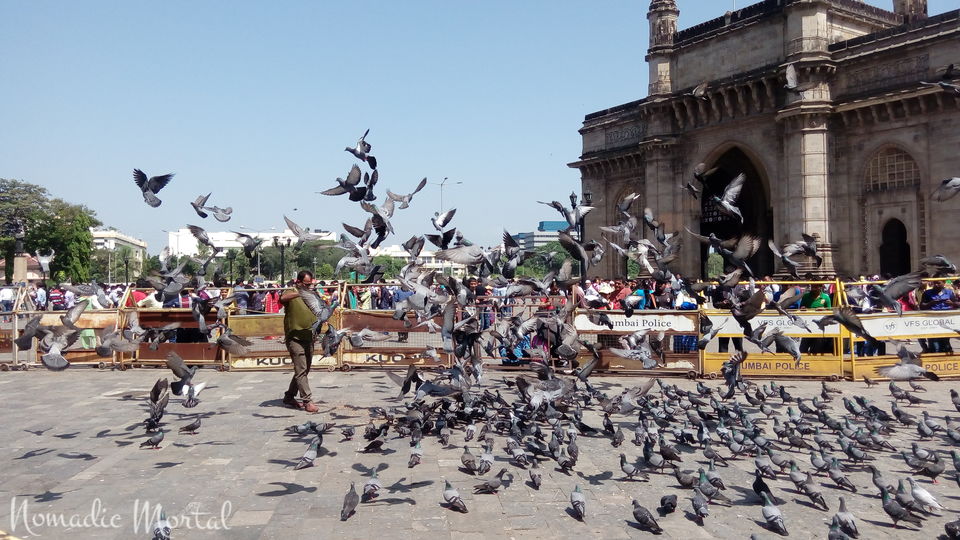 Photo of Mumbai during Ganesh Chaturthi -- Check! 3/17 by Shwetha
