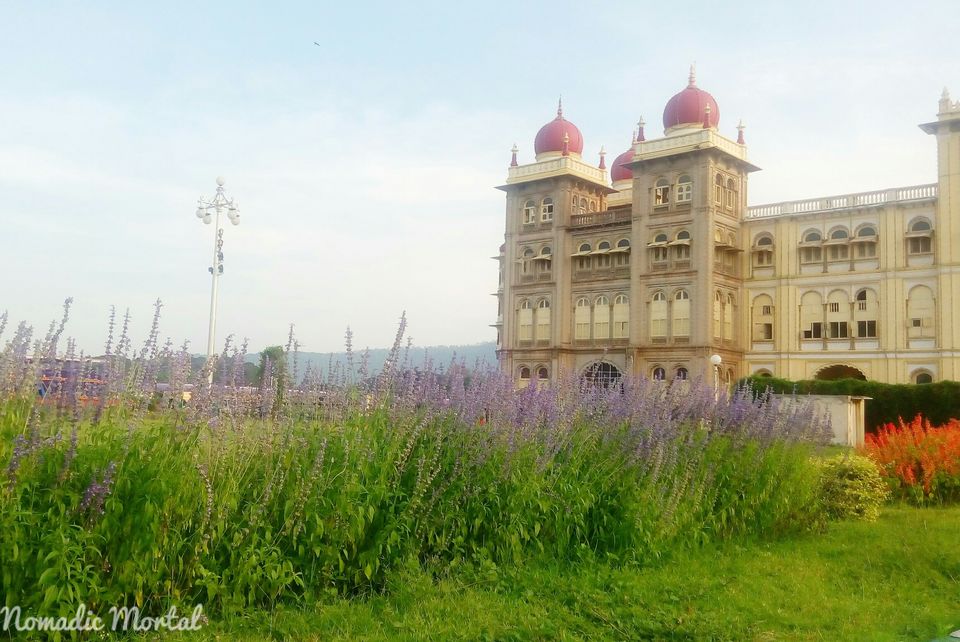 Photo of Mysuru Dasara : Almost! 2/12 by Shwetha