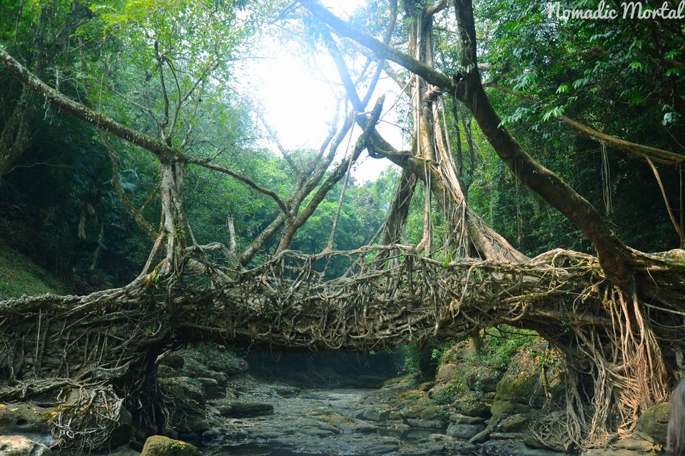 Photo of Borders, Bridges and more - Meghalaya and beyond! by Shwetha