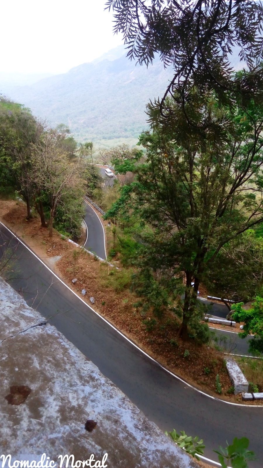 Photo of Kolli Hills Is The Scenic Road Trip You Must Take From Bangalore 5/8 by Shwetha
