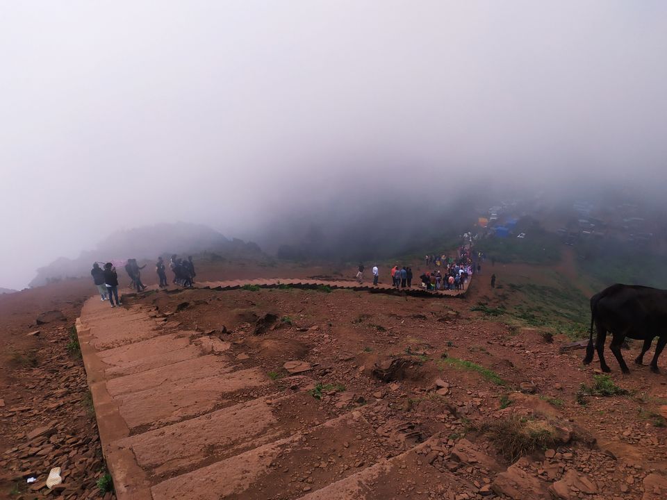 Photo of Mullayanagiri Peak, Karnataka by Mrinal Chaudhury