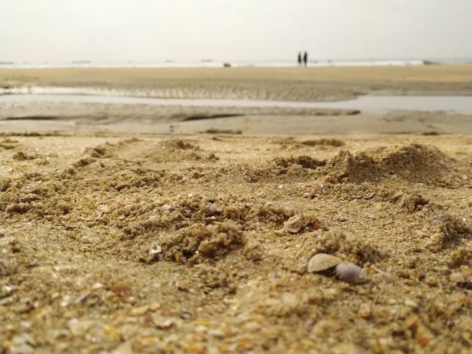 Photo of Colva Beach, Goa by Mrinal Chaudhury