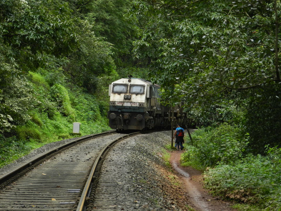 Photo of Dudhsagar waterfall: Of trains, tunnels & torrents 4/13 by Chhaya Methani