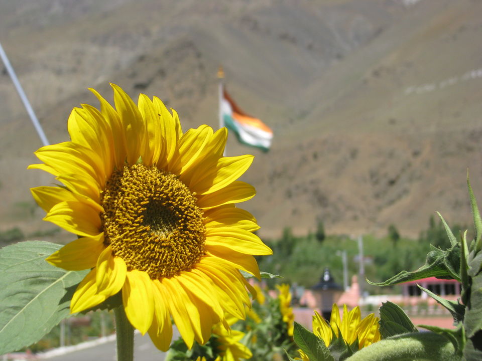 Photo of by Tushar kudal
