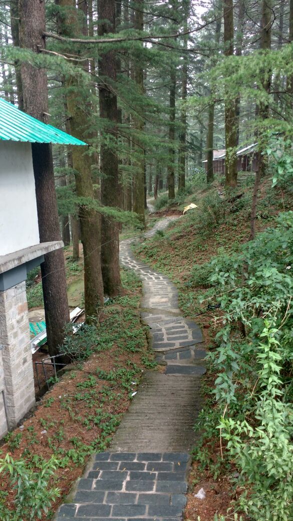 Photo of Dharamkot, Dharamshala, Himachal Pradesh, India by Tushar kudal