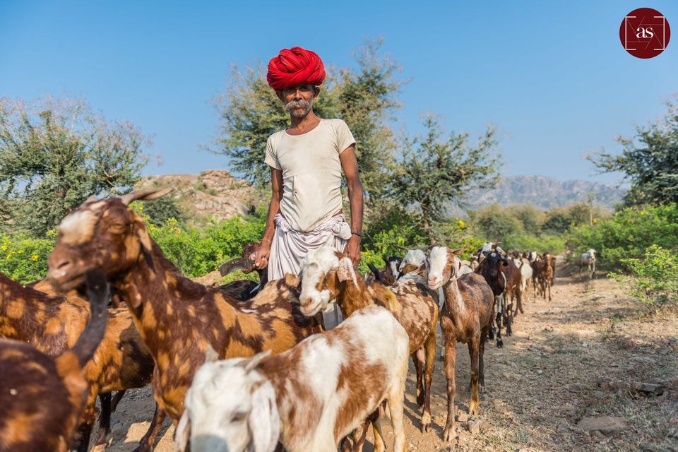 Photo of Rajasthan's Best Kept 500 year old Secret - Ghanerao by Anant Srivastava