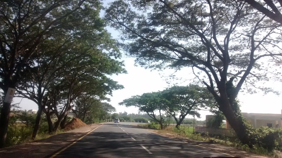 Photo of And Auroville happened! 6/10 by Aditi Pandya