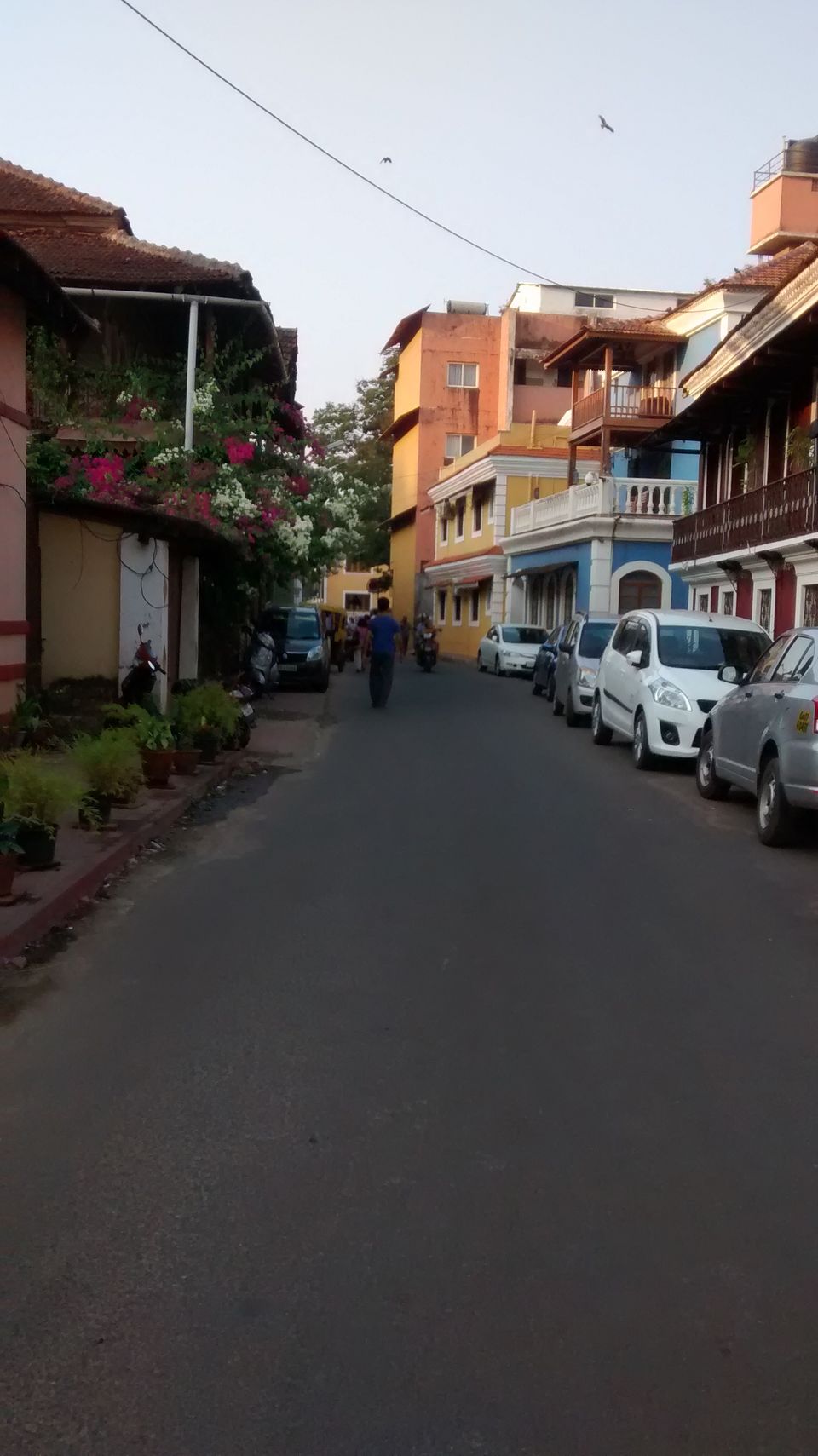 Photo of Goa gratitude 1/6 by Aditi Pandya